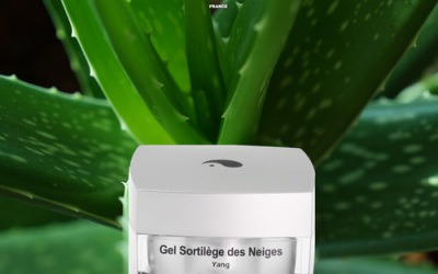 Gel anti-rides visage pour une cure de jeunesse