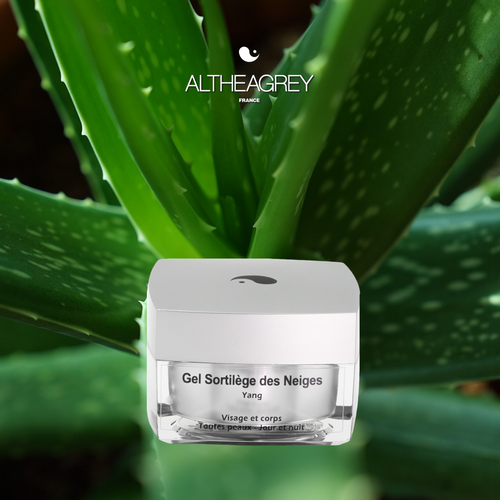 Anti-rides, anti-âge, ce gel à l'Aloe Véra est un puissant liftant